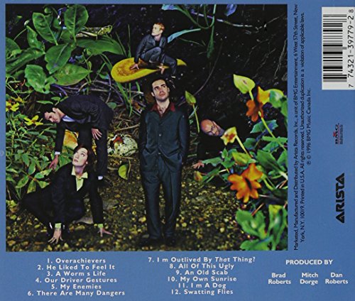 Crash test dummies / A Worm'S Life - CD (Used)