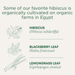 Traditional Medicinals - Organic Hibiscus Herbal Tea (Pack of 6) - Fair Trade Ingredients - Tart, Tangy and Fruity - 96 Tea Bags Total 🍁 All In One Marketplace Canada