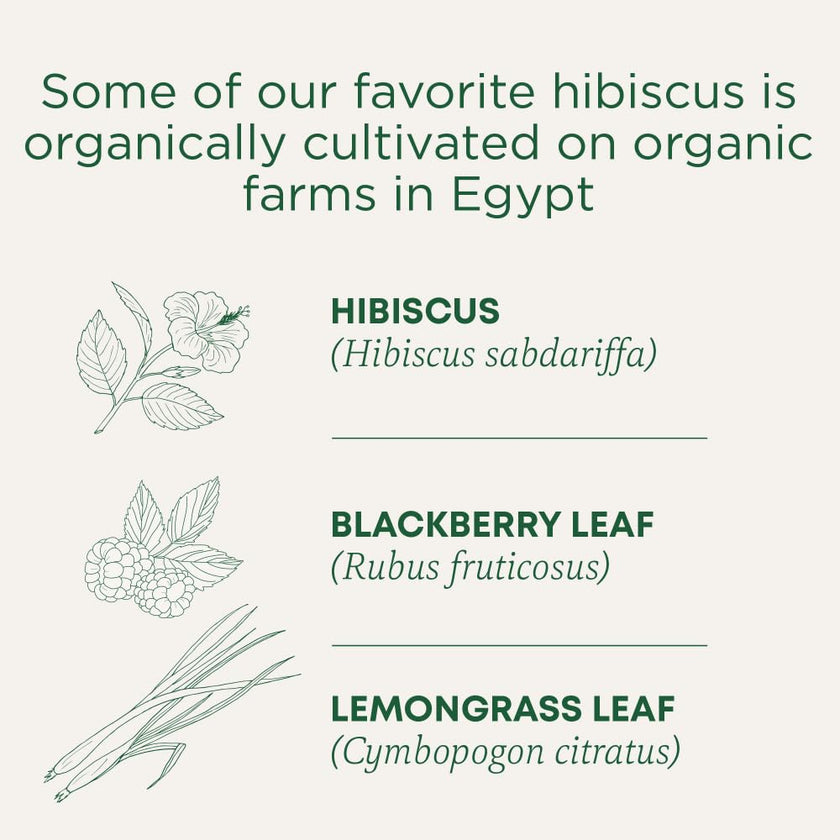 Traditional Medicinals - Organic Hibiscus Herbal Tea (Pack of 6) - Fair Trade Ingredients - Tart, Tangy and Fruity - 96 Tea Bags Total 🍁 All In One Marketplace Canada