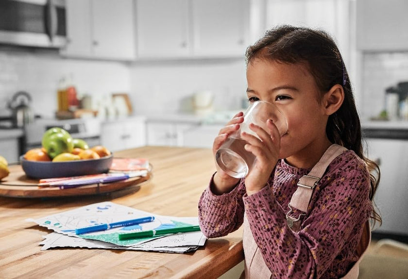 Frigidaire UltraWF Water Filter 🍁 All In One Marketplace Canada