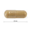 Jamieson High-Potency Ashwagandha 6,000 mg, Increases Resistance to Stress, Adaptogen, and Enhances Memory. Non-GMO, Vegetarian, Gluten-Free, Only One Per Day, 60 Capsules 🍁 All In One Marketplace Canada