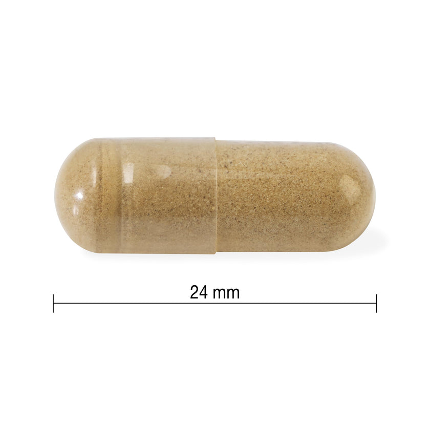 Jamieson High-Potency Ashwagandha 6,000 mg, Increases Resistance to Stress, Adaptogen, and Enhances Memory. Non-GMO, Vegetarian, Gluten-Free, Only One Per Day, 60 Capsules 🍁 All In One Marketplace Canada