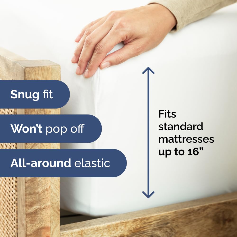 Full Size Fitted Bed Sheet - Hotel Luxury Single Fitted Sheet Only - Fits Mattress Up To 16 - Extra Soft, Wrinkle Free, Breathable & Cooling - Bottom Fitted Sheet - White Single Fitted Sheet Only 🍁 All In One Marketplace Canada