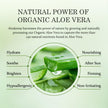 Aloderma 99% Organic Aloe Vera Gel for Skin Made within 12 Hours of Harvest, Non-Sticky Aloe Vera Gel for Sunburn Relief, Natural, Soothing Hydrating Aloe Vera for Face & Hair, Lightweight Gel, 10.6oz 🍁 All In One Marketplace Canada