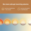 Sunrise Alarm Clock White Noise Machine: Natural Wake Up Light - Dimmable Clock with Bluetooth Speaker for Bedroom - 25 Sleep Sounds for Baby Adults Kids Putty 🍁 All In One Marketplace Canada