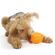 Outward Hound Snoop Dog Toy – Treat‑Dispenser Puzzle Ball, Interactive Slow Feeder, Medium to Large Dogs, Bouncy & Mint-Infused, Orange, 5