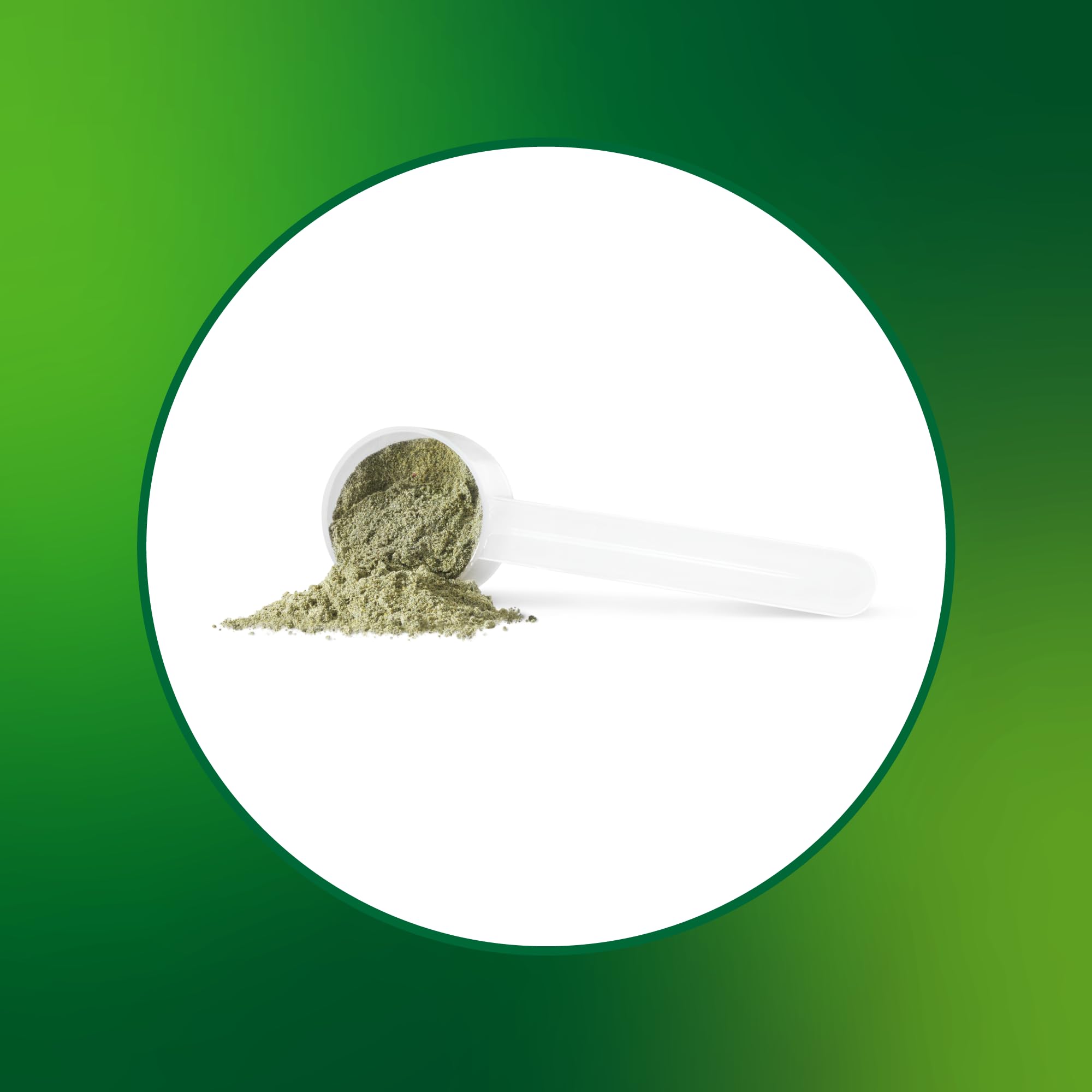 Progressive VegeGreens Pineapple Coconut, Vegan Canadian-Made Superfoods + Daily Greens with 23 Whole Foods, Adaptogens, Anti-Inflammatory, Antioxidants & Digestive Support for Energy and Immunity, 530 g 🍁 All In One Marketplace Canada