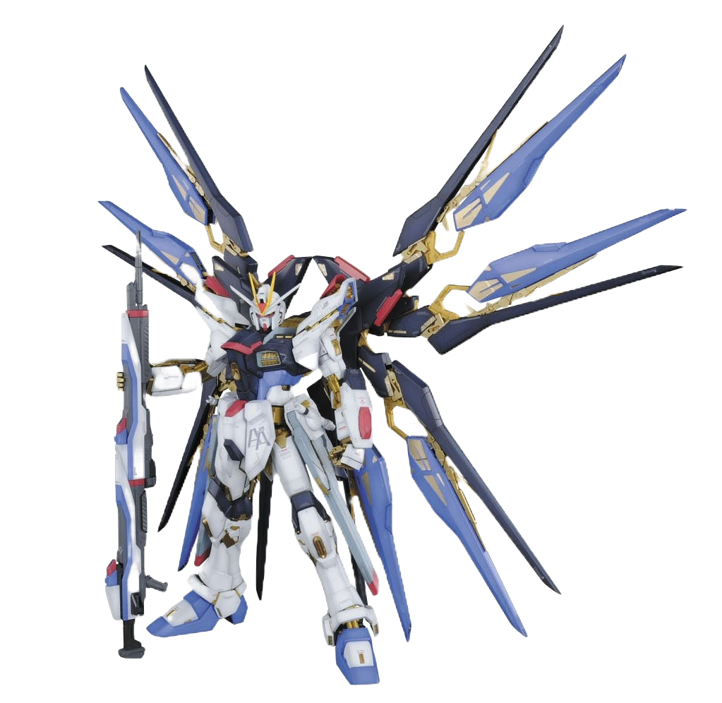 1\60 PG Strike Freedom
