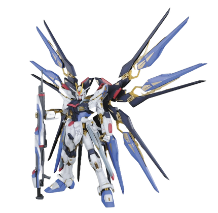 1\60 PG Strike Freedom