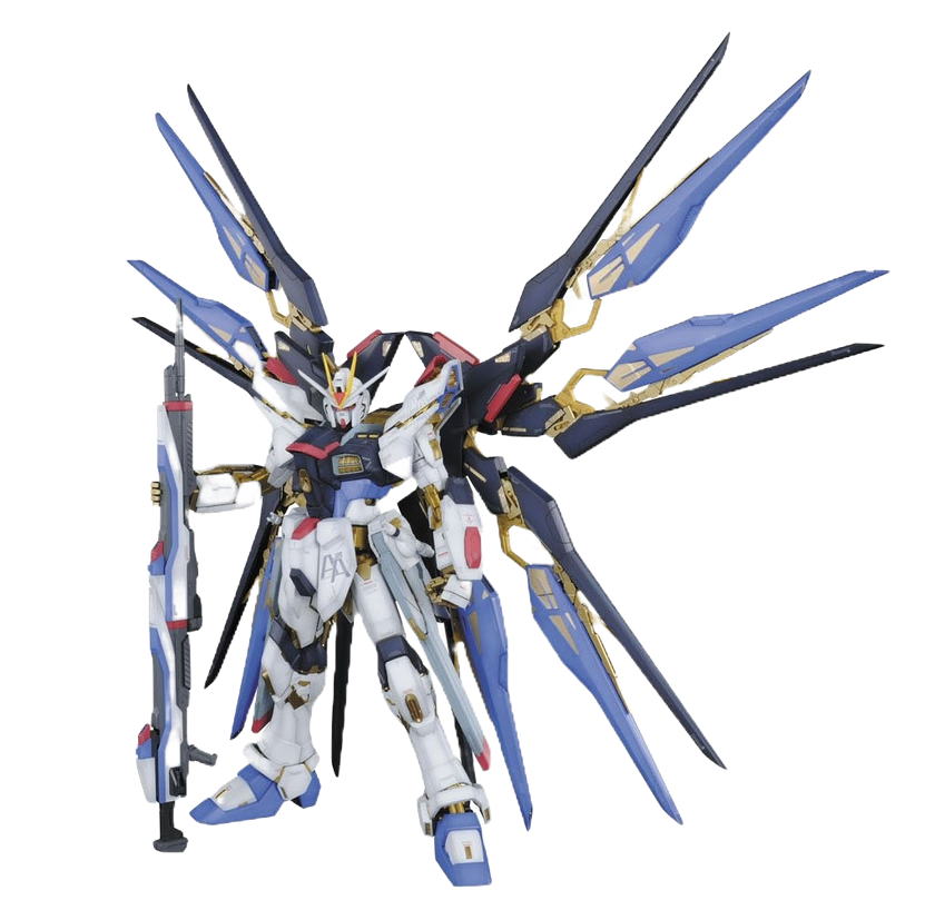 1\60 PG Strike Freedom
