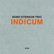 Indicum