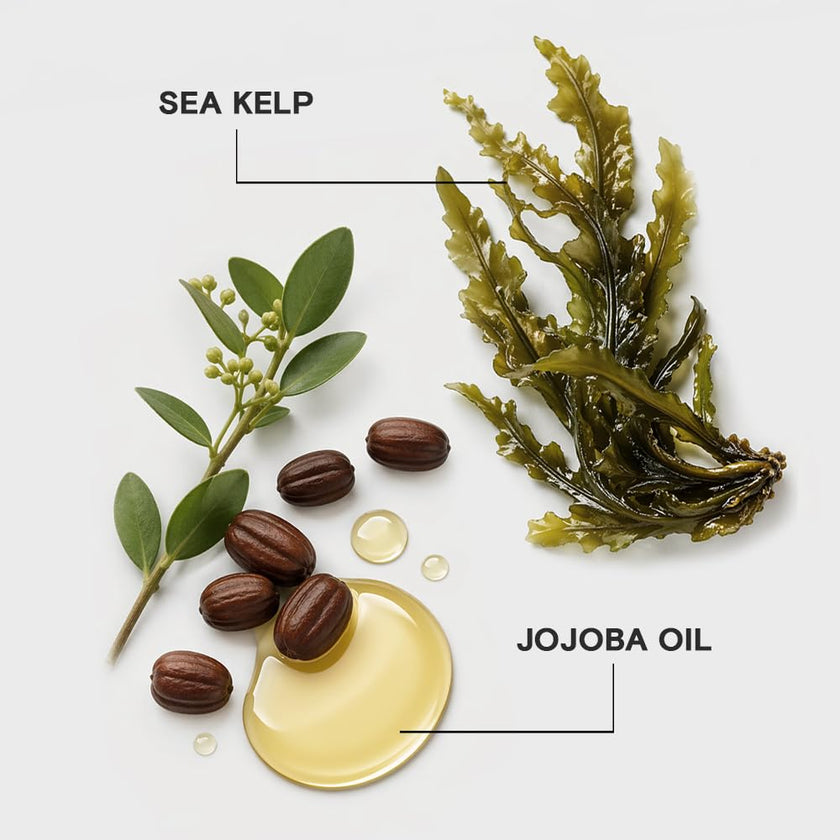Joico Moisture Recovery Conditioner for Thick Coarse Hair, Moisturizing and Conditioning for Dry Damaged Hair with Keratin 🍁 All In One Marketplace Canada