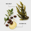 Joico Moisture Recovery Shampoo or Conditioner for Dry Hair, Thick Coarse Hair, Moisturizing Shampoo or Conditioner for Dry Damaged Hair with Keratin 🍁 All In One Marketplace Canada