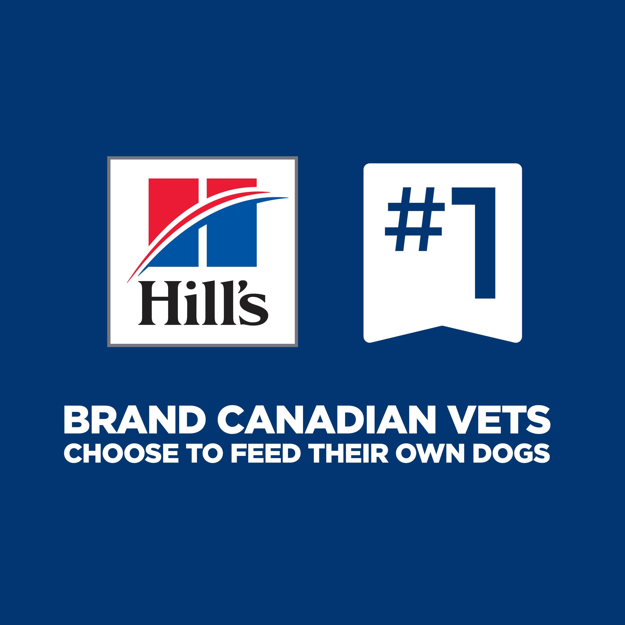 Hill's Science Diet Senior 6+ Large Breed Chicken Meal, Barley & Rice Recipe Dry Dog Food 14.9 kg Bag 🍁 All In One Marketplace Canada