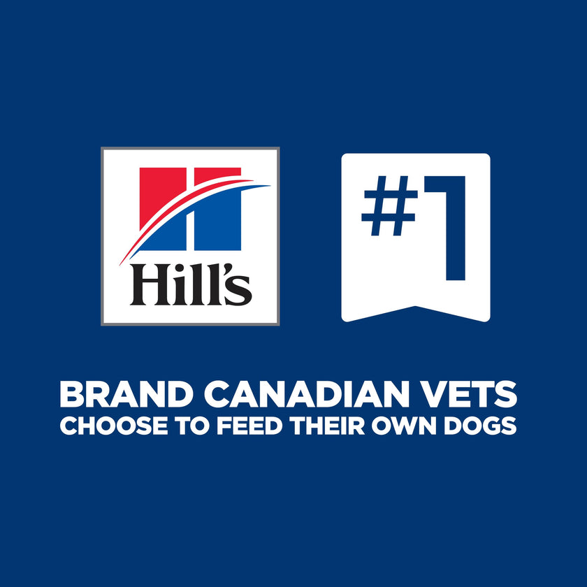 Hill's Science Diet Senior 6+ Large Breed Chicken Meal, Barley & Rice Recipe Dry Dog Food 14.9 kg Bag 🍁 All In One Marketplace Canada