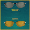 Flying Fisherman San Jose Polarized Sunglasses | Perfect for Driving, Fishing & Boating | 100% UV Protection | Gunmetal Frames/Smoke Lenses 🍁 All In One Marketplace Canada