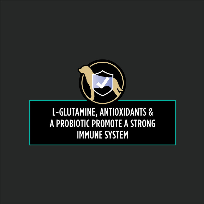 Purina Pro Plan Veterinary Supplements, Mutli Care Dog Chew Probiotic - 150 g (30 Chews) 🍁 All In One Marketplace Canada