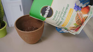 Miracle-Gro Indoor Potting Mix 8.8L, 2-Pack | Gnat-Free Formula with Coir & Perlite | Feeds 6 Months for Houseplants & Containers 🍁 All In One Marketplace Canada