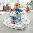 Fisher-Price Sit-Me-Up Floor Seat, Pacific Pebble 🍁 All In One Marketplace Canada