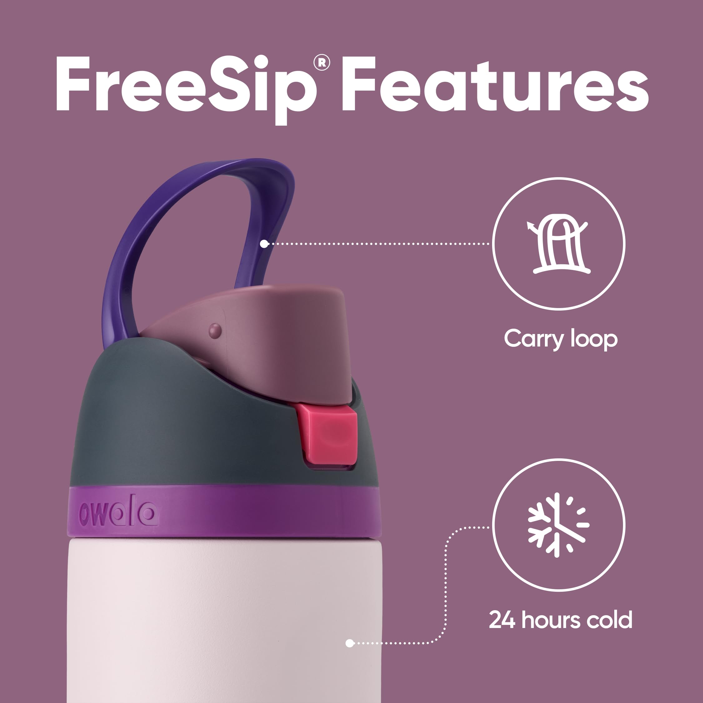 Owala FreeSip Insulated Stainless Steel Water Bottle with Straw for Sports and Travel, BPA-Free, 24oz, Dreamy Field 🍁 All In One Marketplace Canada