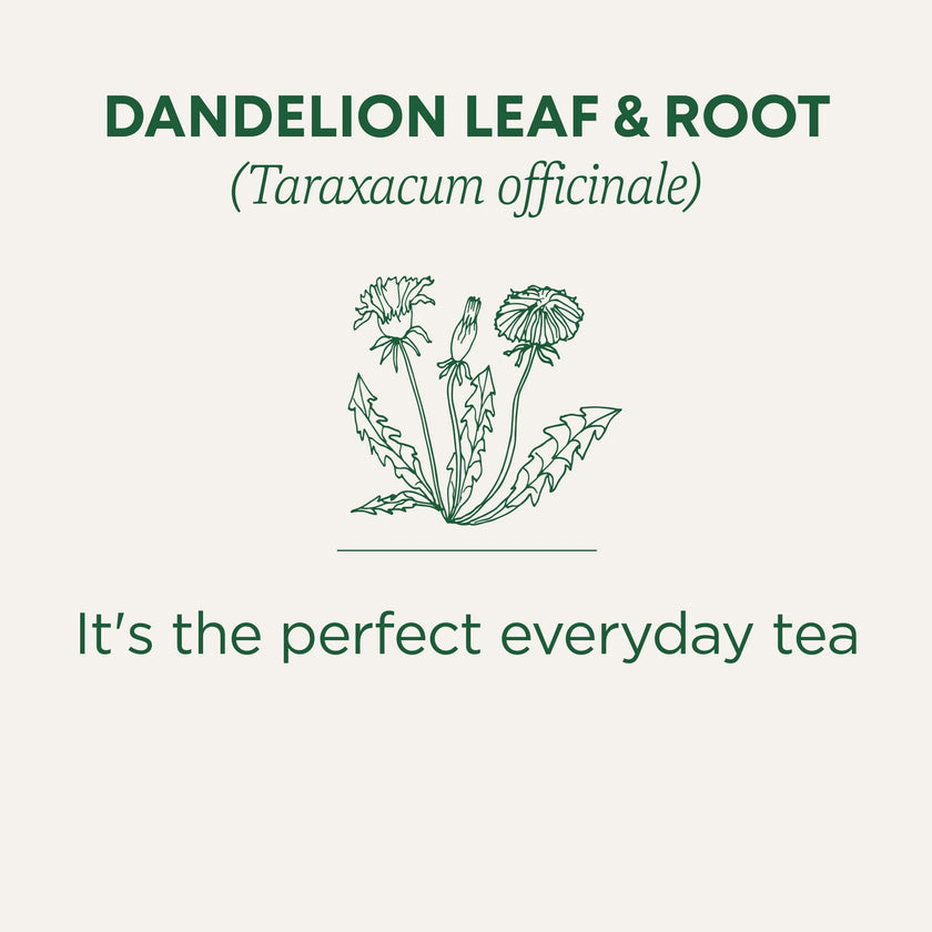 Traditional Medicinals - Organic Dandelion Leaf and Root Herbal Tea (Pack of 6) - 96 Tea Bags Total 🍁 All In One Marketplace Canada