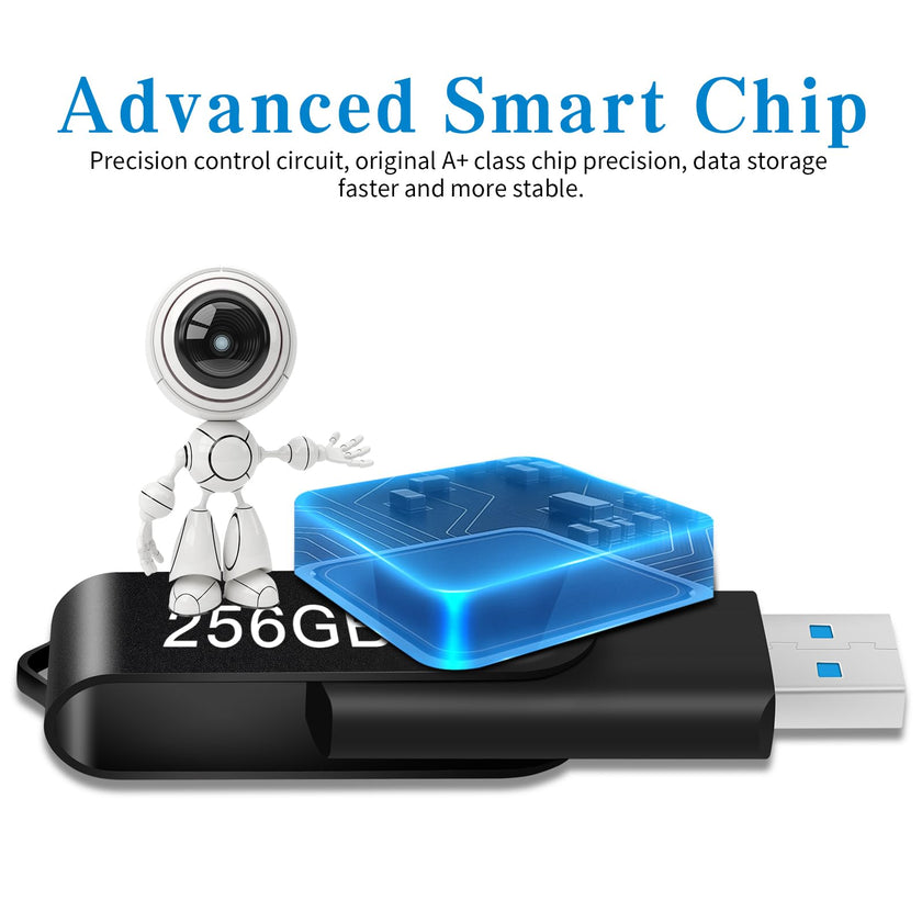 USB Flash Drive 256GB, Portable Thumb Drive: Memory Stick, Large Capacity USB Drive with Keychain, High-Speed USB 2.0 Data Storage Flash Drive for PC/Laptop 🍁 All In One Marketplace Canada