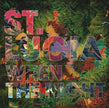 St. Lucia / When The Night - CD (Used)