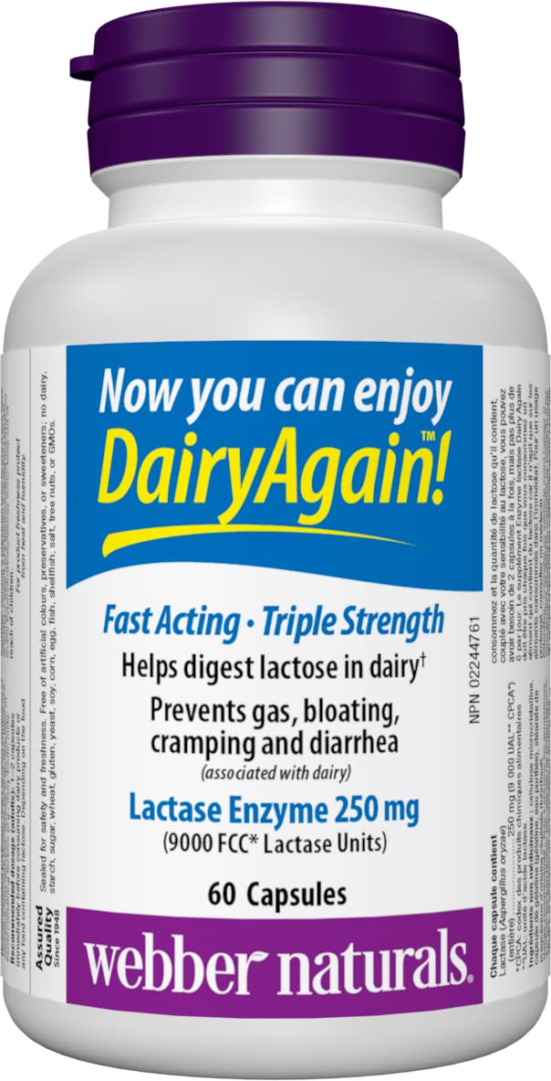 Webber Naturals Dairy Again Lactase Enzyme, 60 Capsules 🍁 All In One Marketplace Canada