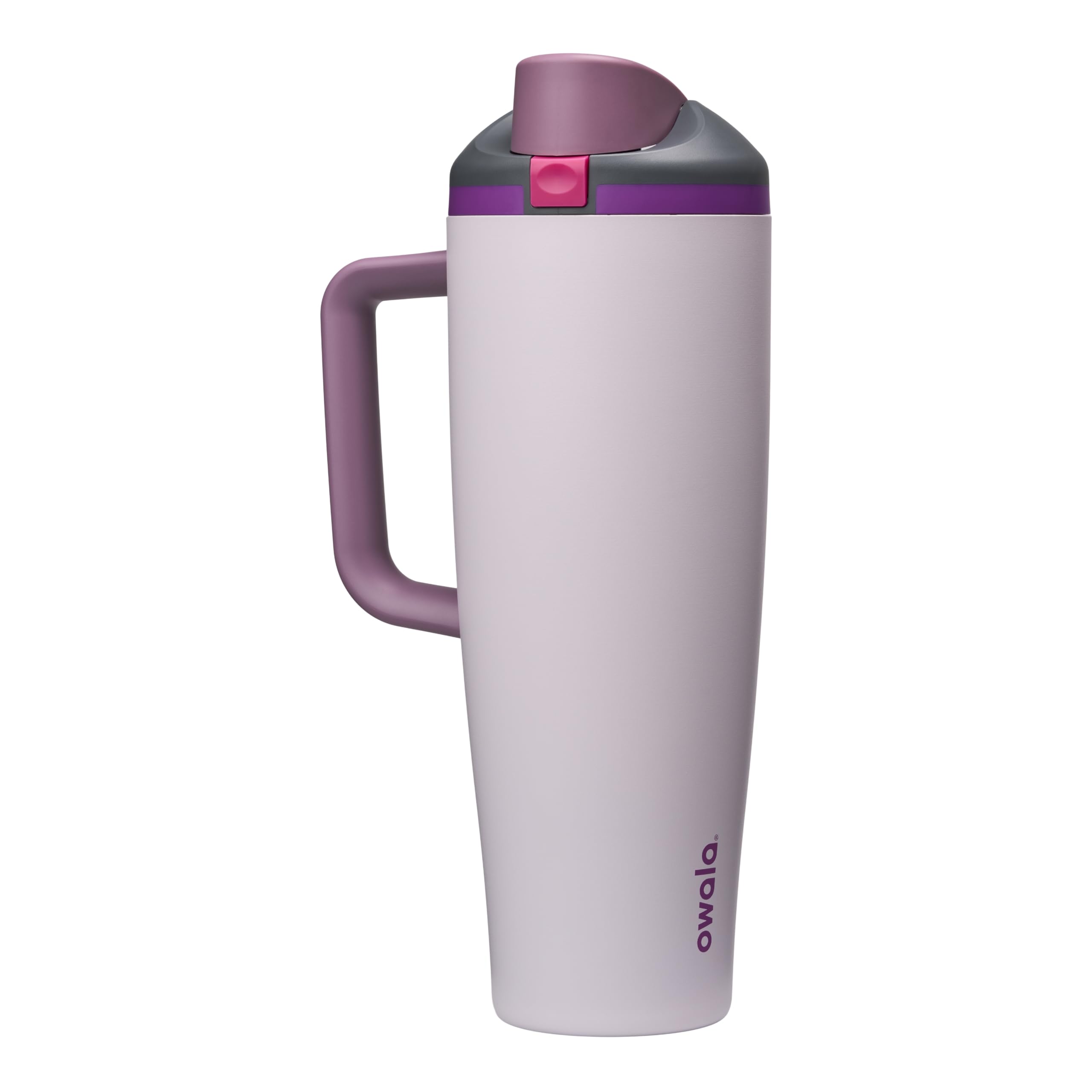Owala FreeSip Tumbler Insulated Stainless Steel Water Bottle with Built-in Straw and Side Handle, for Travel, Work, School, and Sports, 40oz, BPA Free, Leak Proof, Dreamy Field 🍁 All In One Marketplace Canada