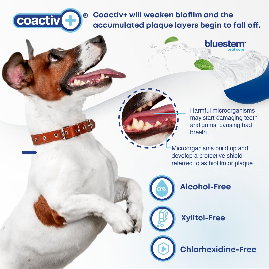 bluestem Dental Care Water Additive for Dogs – No Brushing Daily Teeth Cleaner – Pet Oral Rinse to Freshen Breath & Help Reduce Plaque – Flavorful & Easy Oral Hygiene (500 ml, Vanilla Mint) 🍁 All In One Marketplace Canada
