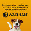 PEDIGREE DENTASTIX Medium Dog Dental Treats Fresh Flavour, 40 Sticks 972g 🍁 All In One Marketplace Canada