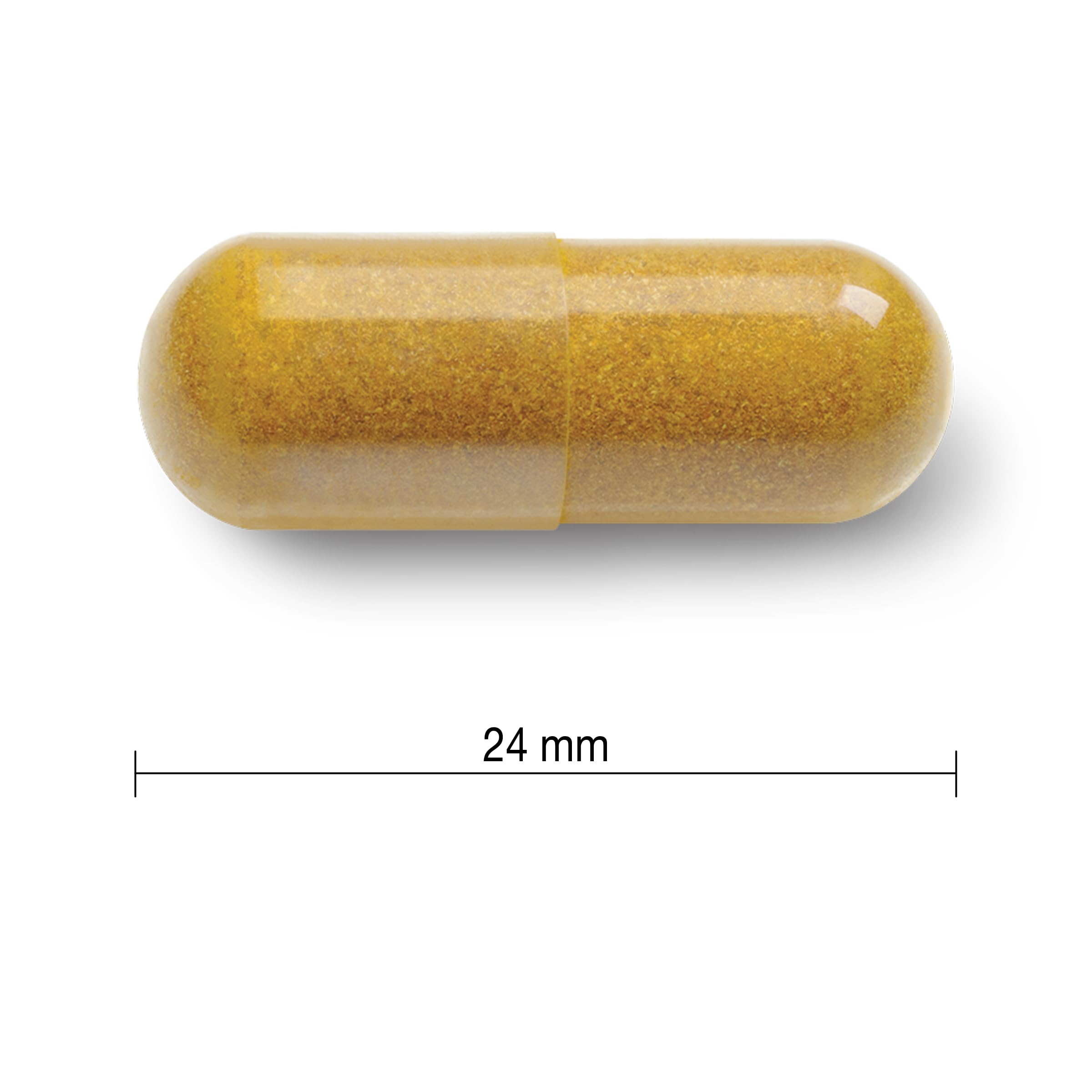 Jamieson Curcumin Turmeric 550 mg, Provides Natural Joint Pain Relief, Supports Inflammation, and Helps with Digestion. NON-GMO, Gluten-Free, 90 Vegetarian Capsules, Proudly Canadian 🍁 All In One Marketplace Canada