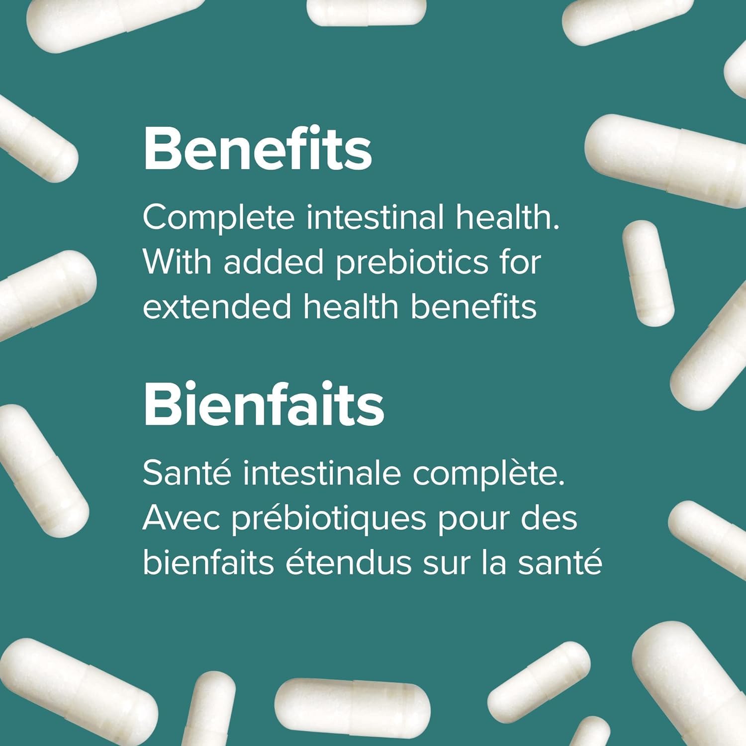 Webber Naturals Acidophilus Bifidus with FOS, 6 Billion Active Cells, 4 Probiotic Strains, 180 Capsules, For Digestive Health, Vegetarian 🍁 All In One Marketplace Canada