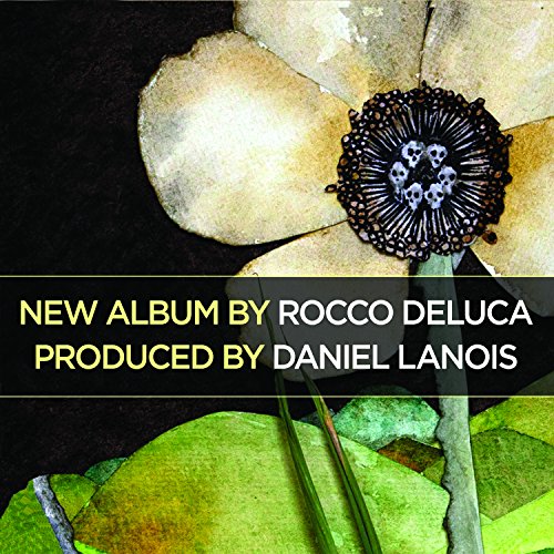 Rocco DeLuca