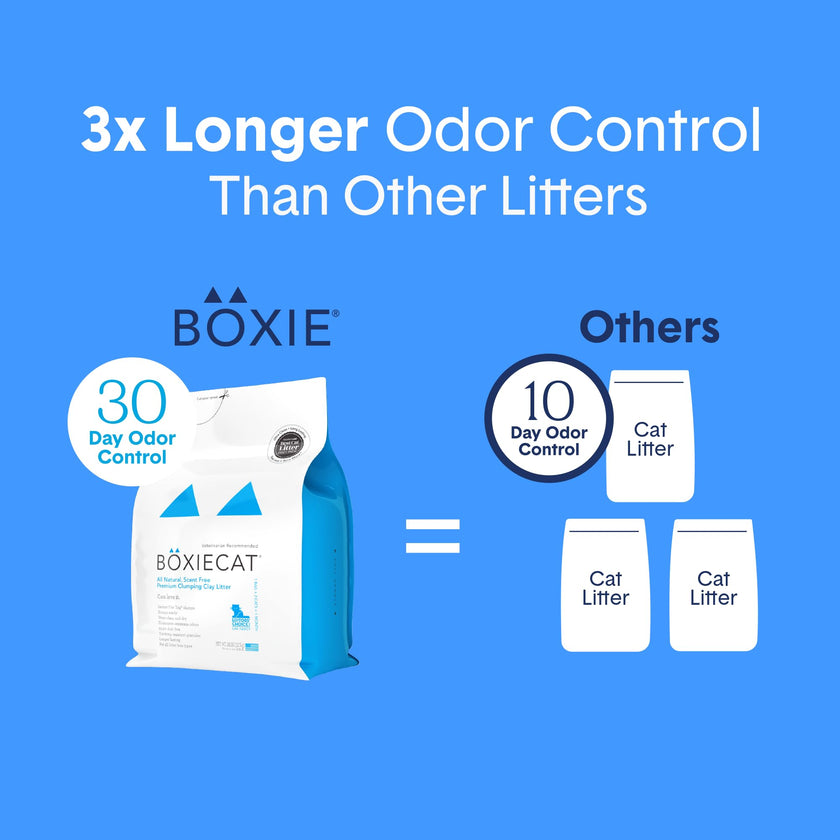 Boxie® Unscented 30 Day Odor Control Clumping Clay Cat & Kitty Litter 16 lb, 99.9% Dust-Free, Hard Flat Top® Clumps, No Fragrances No Fillers, Long-Lasting, Easy to Scoop 🍁 All In One Marketplace Canada