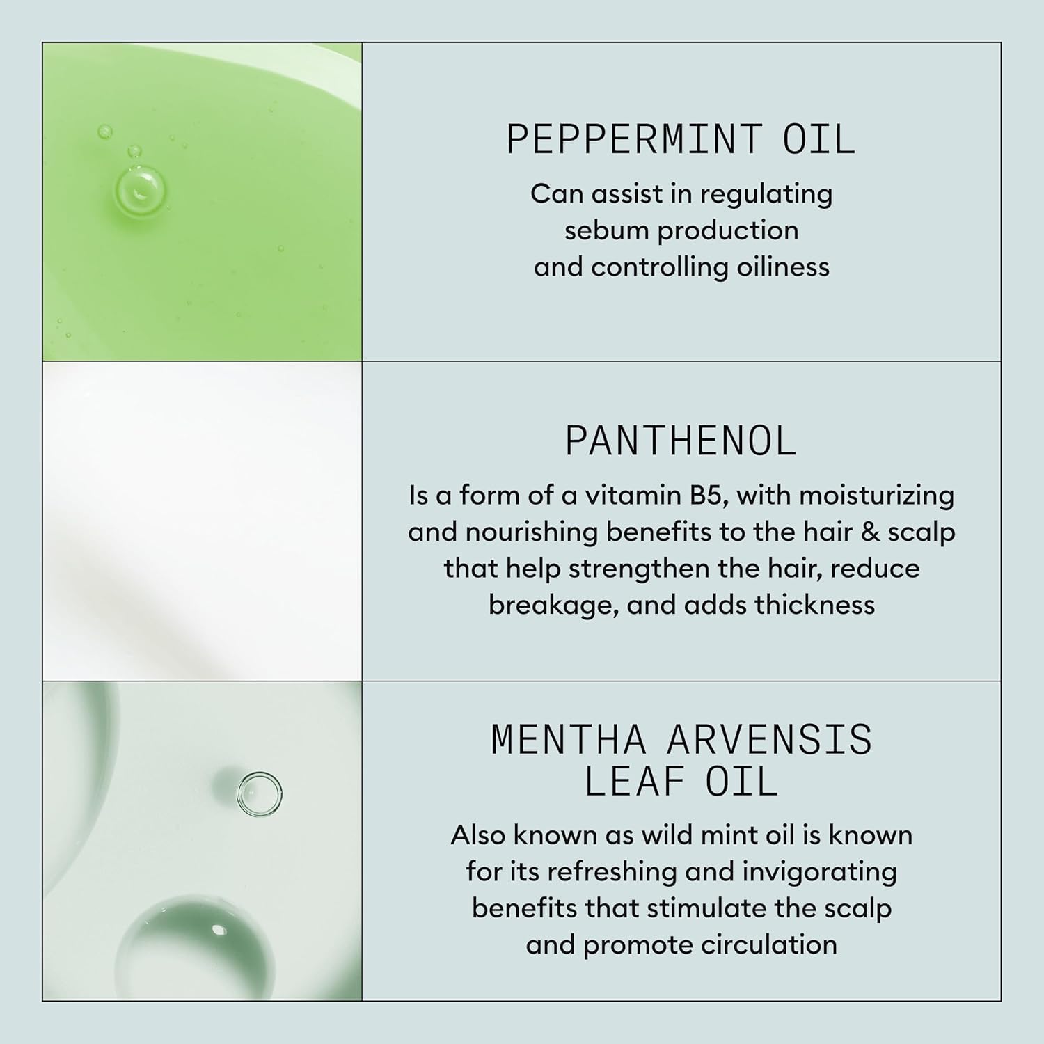 Nioxin Density Defend Styling Root Lifting Spray | Hair Thickening Spray | Texturizes and Volumizes| 5.1 Fl Oz | 150 ml 🍁 All In One Marketplace Canada