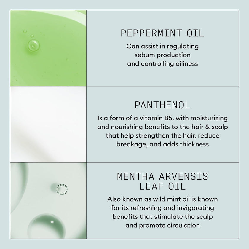 Nioxin Density Defend Styling Root Lifting Spray | Hair Thickening Spray | Texturizes and Volumizes| 5.1 Fl Oz | 150 ml 🍁 All In One Marketplace Canada