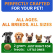 Probiotics for Dogs - Gas, Diarrhea, Allergy, Constipation, Upset Stomach Relief, w/Digestive Enzymes + Prebiotics - Chewable Supplement - Improve Digestion, Immunity - Dog Probiotics Chews - 180Ct 🍁 All In One Marketplace Canada