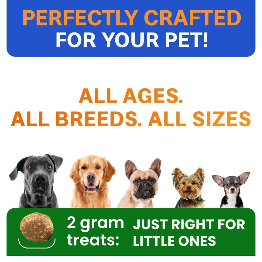 Probiotics for Dogs - Gas, Diarrhea, Allergy, Constipation, Upset Stomach Relief, w/Digestive Enzymes + Prebiotics - Chewable Supplement - Improve Digestion, Immunity - Dog Probiotics Chews - 120Ct 🍁 All In One Marketplace Canada