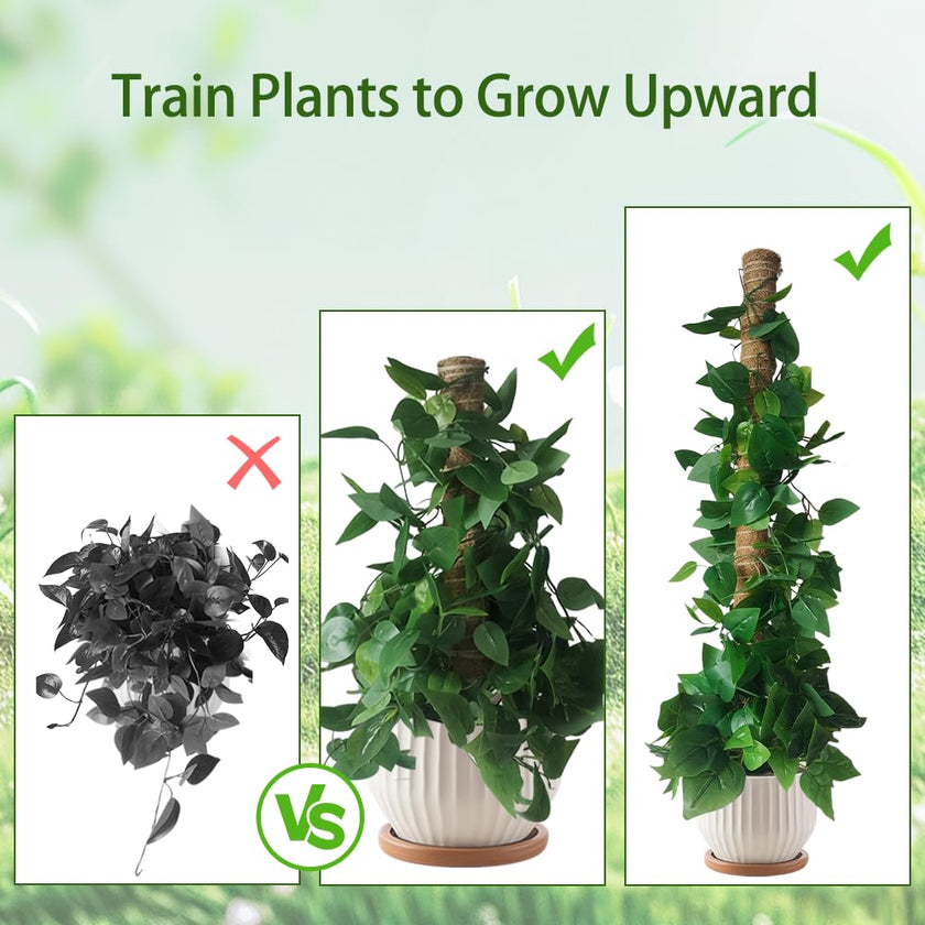 Moss Pole Plant Support Monstera - 5 Pack Coco Coir Moss Stick Plants Climber Support Indoor Monstera Stake for Climbing Plants Live House Potted, Vine, Pothos, Philodendron to Grow Upwards 🍁 All In One Marketplace Canada