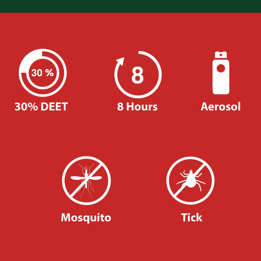 Great Outdoors Insect Repellent 30% DEET Aerosol Spray, 175g 🍁 All In One Marketplace Canada
