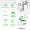 PVL 100% Pure Creatine Monohydrate Powder – Micronized Supplement for Women & Men, Unflavoured Amino Acids & Beta Alanine Friendly, Informed-Choice Tested, 1000 g (200 Servings) 🍁 All In One Marketplace Canada