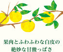 Itoen Nippon Ale Miyazaki Hyuga Natsu Citrus Juice (500G) [Best Before Date: 2025.12]