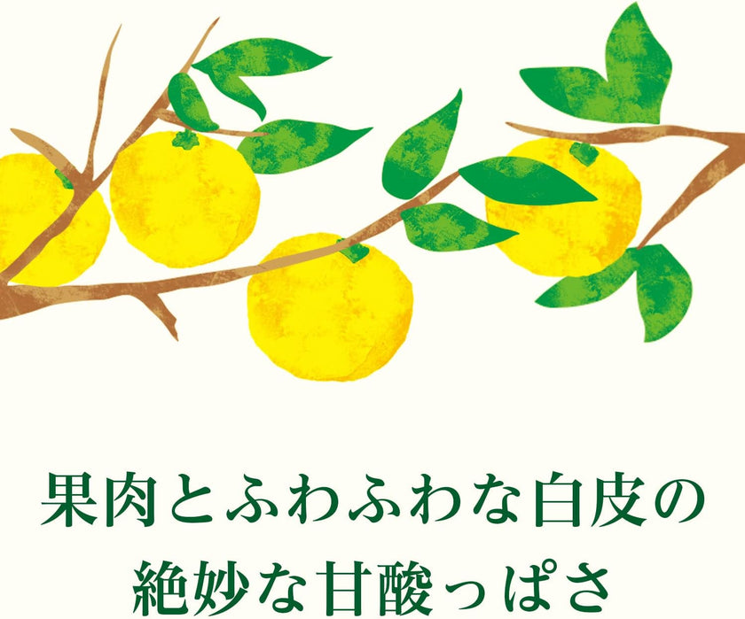 Itoen Nippon Ale Miyazaki Hyuga Natsu Citrus Juice (500G) [Best Before Date: 2025.12]