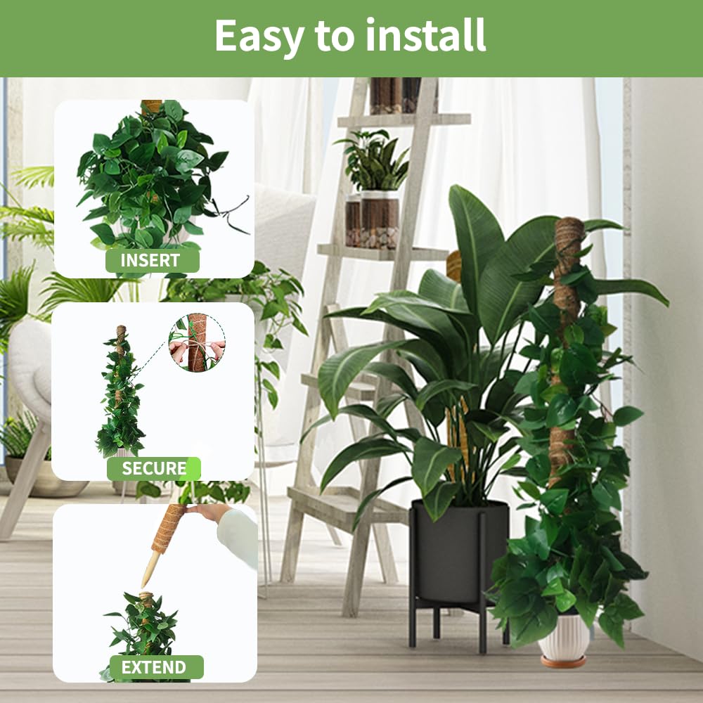 Moss Pole Plant Support Monstera - 5 Pack Coco Coir Moss Stick Plants Climber Support Indoor Monstera Stake for Climbing Plants Live House Potted, Vine, Pothos, Philodendron to Grow Upwards 🍁 All In One Marketplace Canada