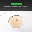 Organic Mullein Leaf Extract for Lungs - 4 Fl Oz - Herbal Tincture for Lung Cleanse & Flush - Natural Mullein Tea Alternative - Mullein Supplement Drops for Lungs - 1,000mg Equivalent Per Serving 🍁 All In One Marketplace Canada