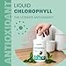 Land Art - Chlorophyll Mint (500ml)