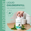 Land Art - Chlorophyll Mint (500ml)