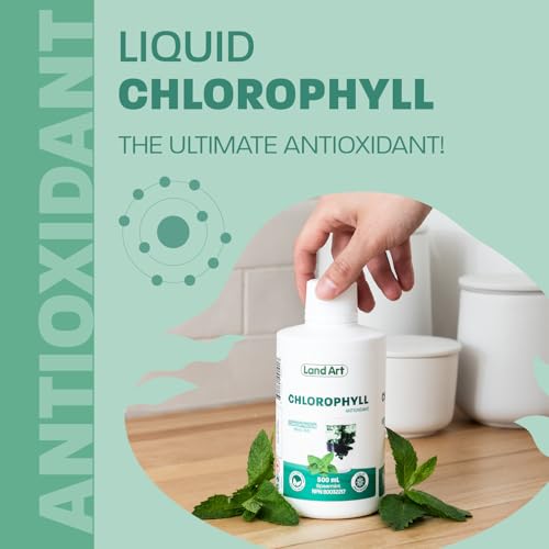 Land Art - Chlorophyll Mint (500ml)