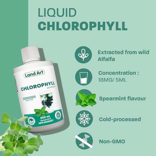 Land Art - Chlorophyll Mint (500ml)